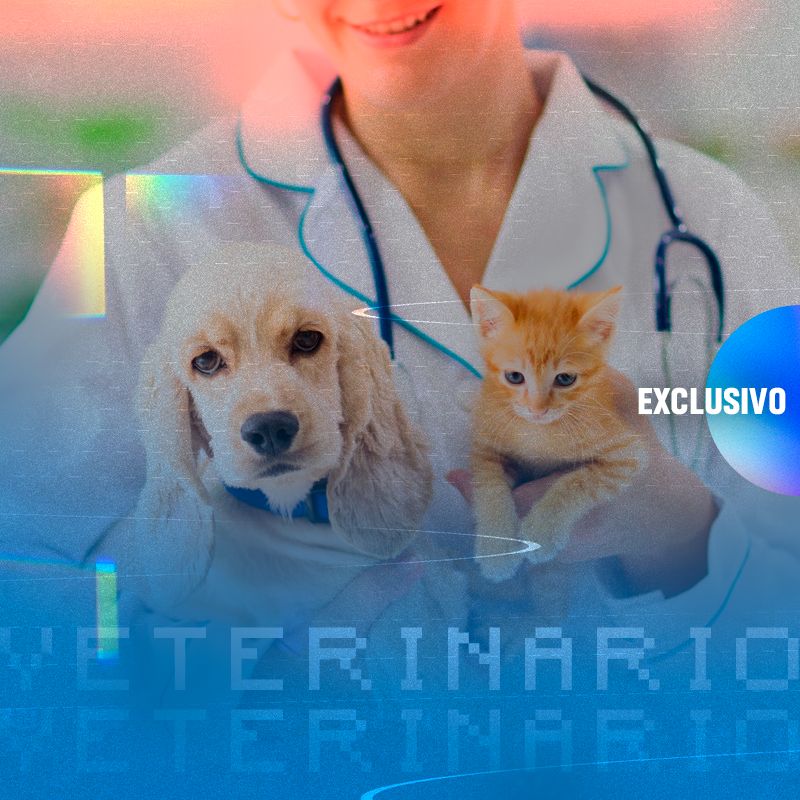 Leia mais sobre o artigo Auxiliar de Veterinário
