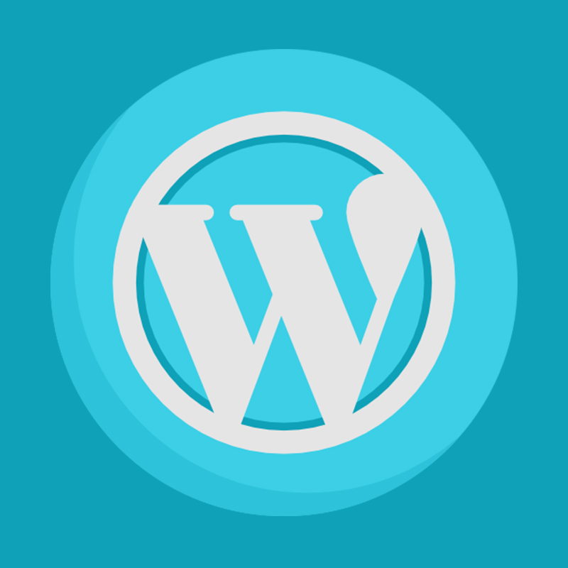 Leia mais sobre o artigo Programação de sites WordPress