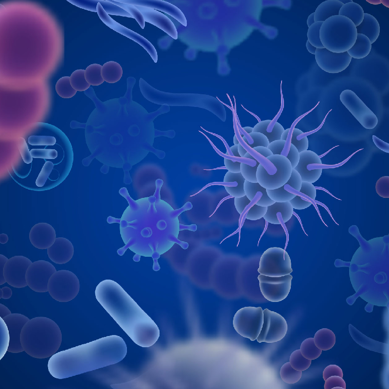 Leia mais sobre o artigo Biologia